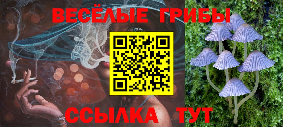 Псилоцибиновые грибы мицелий Чехов